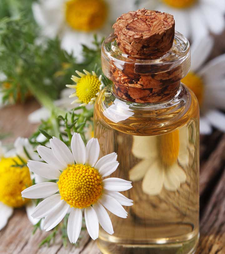 Roman Chamomile Oil - Indonesia