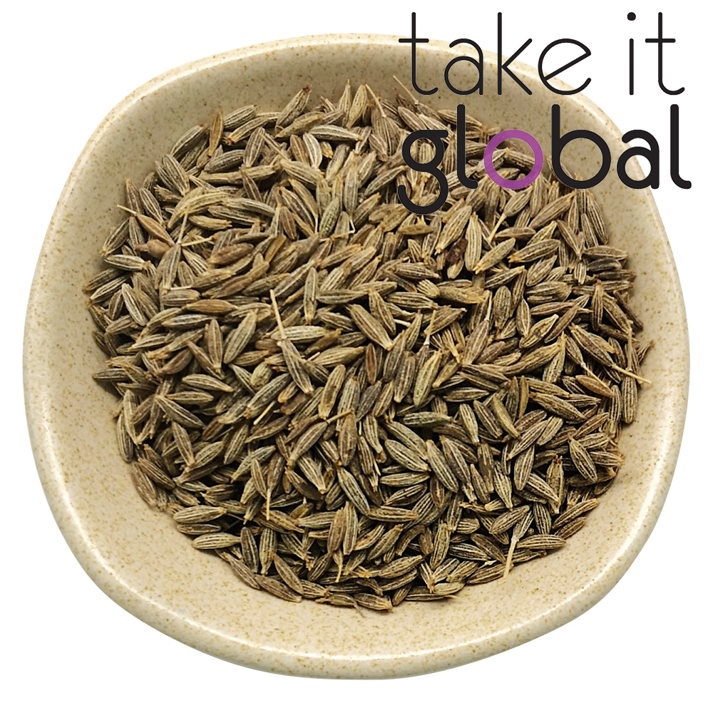Cumin Seed /Jintan Putih 小茴香种子/Jeera / Seeragam / Cuminum cyminum - cooking, herbs & spice , digestion problems