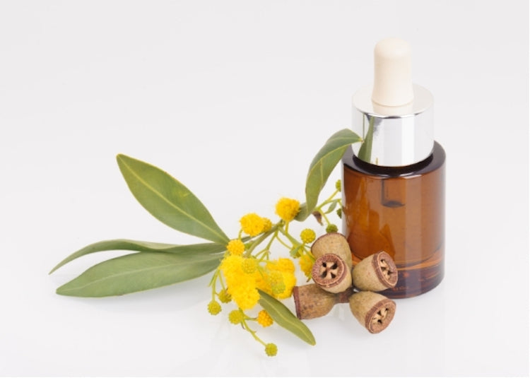 Eucalyptus Essential Oil (all types) - Australia