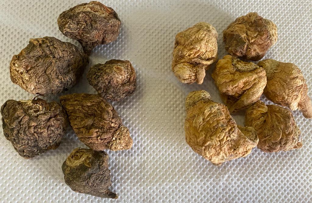Maca Root-(whole root ) 玛咖粒