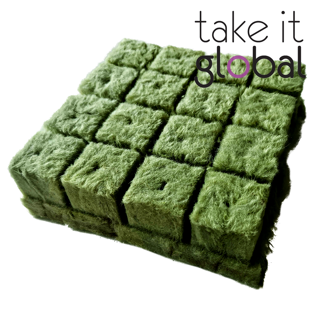 Rockwool Cube 3cm x 3cm x 4cm seedling semai benih hydroponic Rock Wool - 1pc