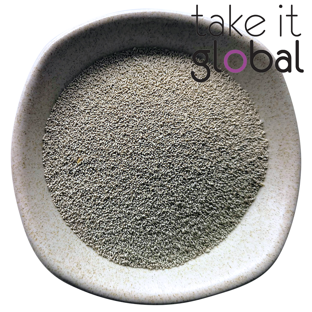 Beer Yeast / 啤酒酵母 - Fermentation (1g)