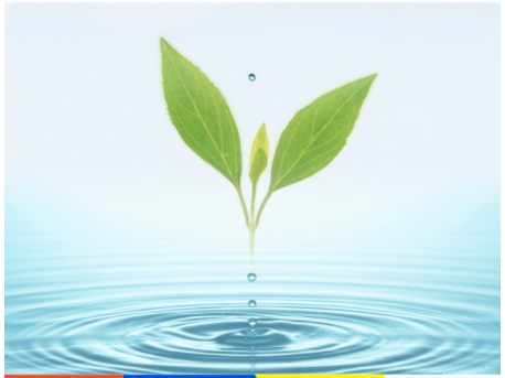 Ungerer Aloe Fresh Fragrance