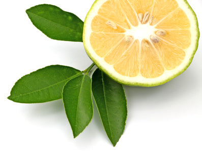 Bergamot Essential Oil