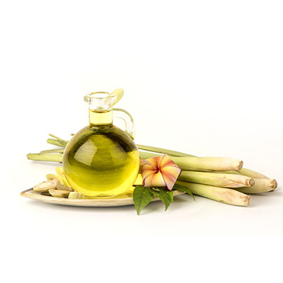 Citronella Essential Oil - Indonesia