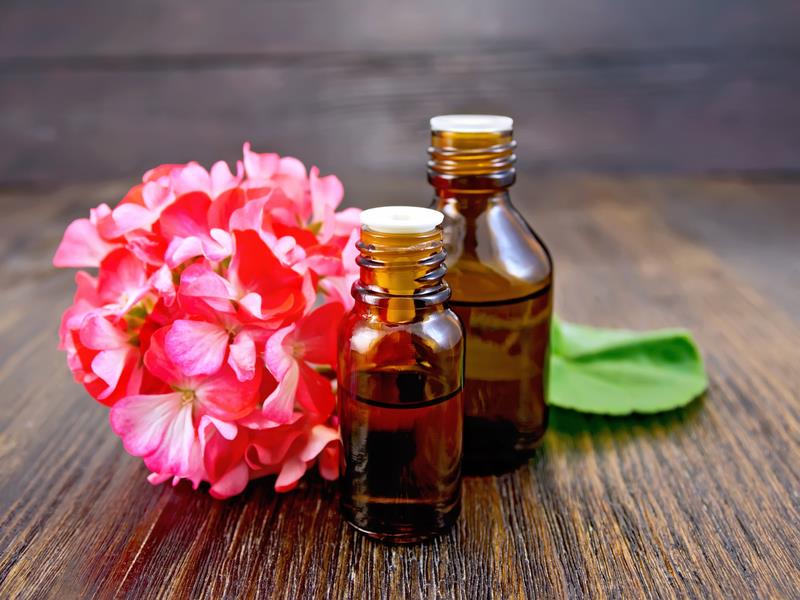 Rose Geranium Essential Oil