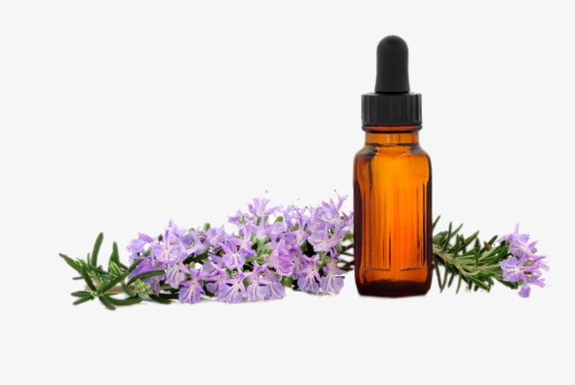 Lavender Essential Oil