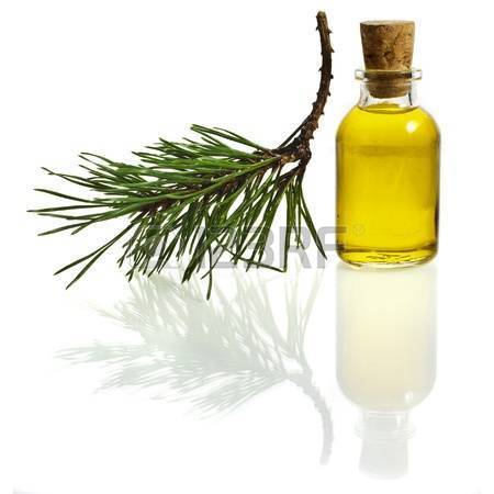 Pine Essential Oil