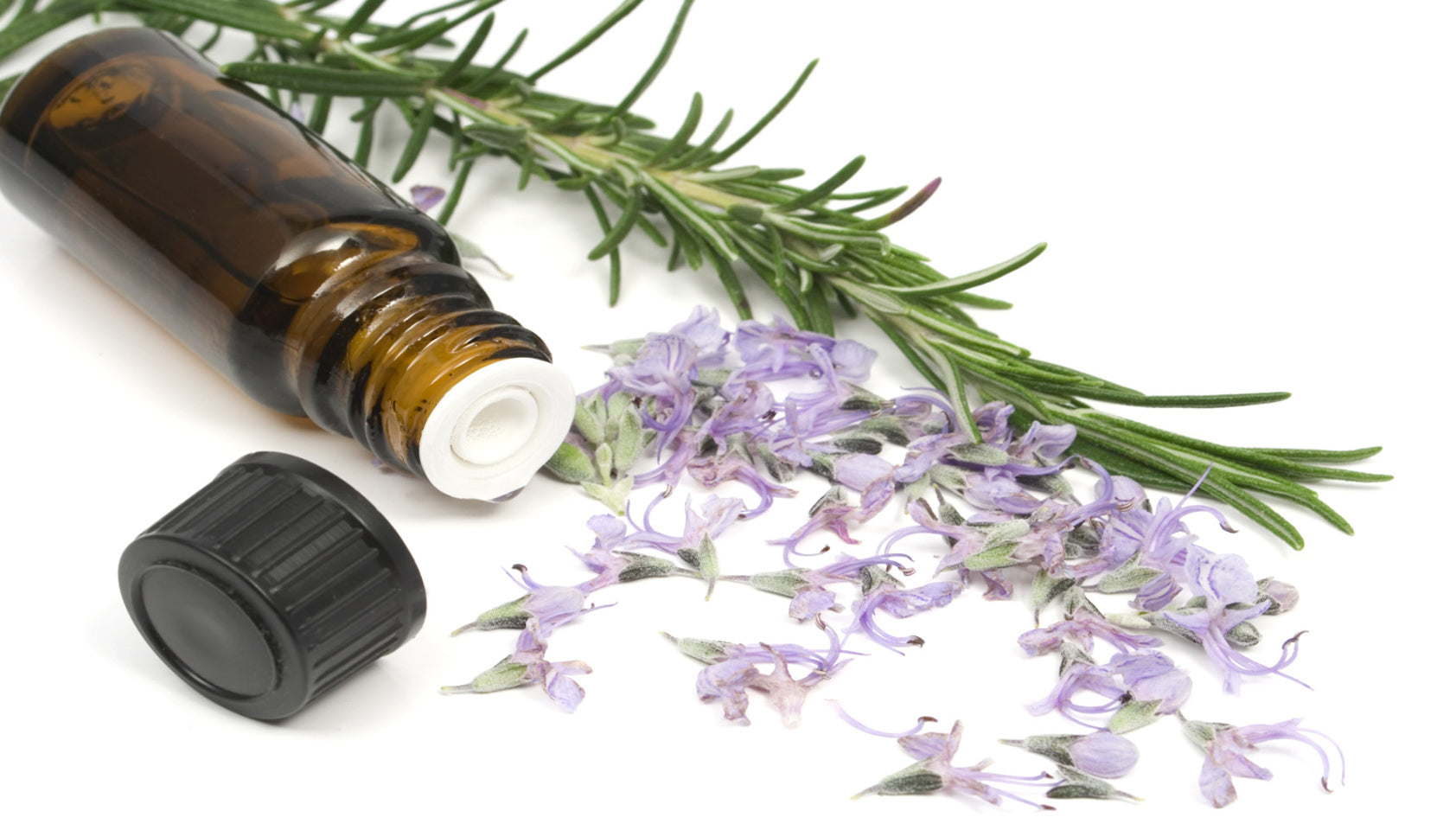 Minyak Rosemary Essential Oil 迷迭香油