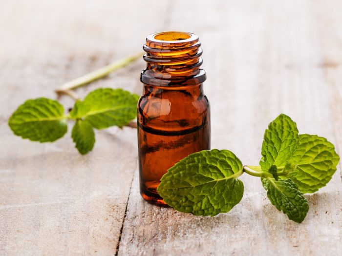 Spearmint Essential Oil 绿薄荷油 - Australia - aromatherapy / massage / cosmetics / creams / lotions