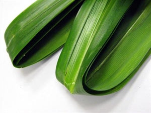 Ungerer Pandan Fragrance