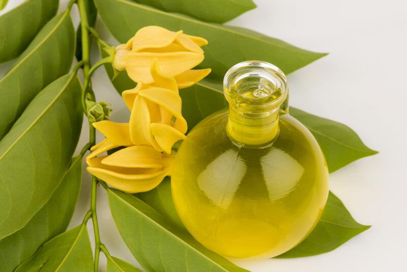 Ylang Ylang Essential Oil 依兰油