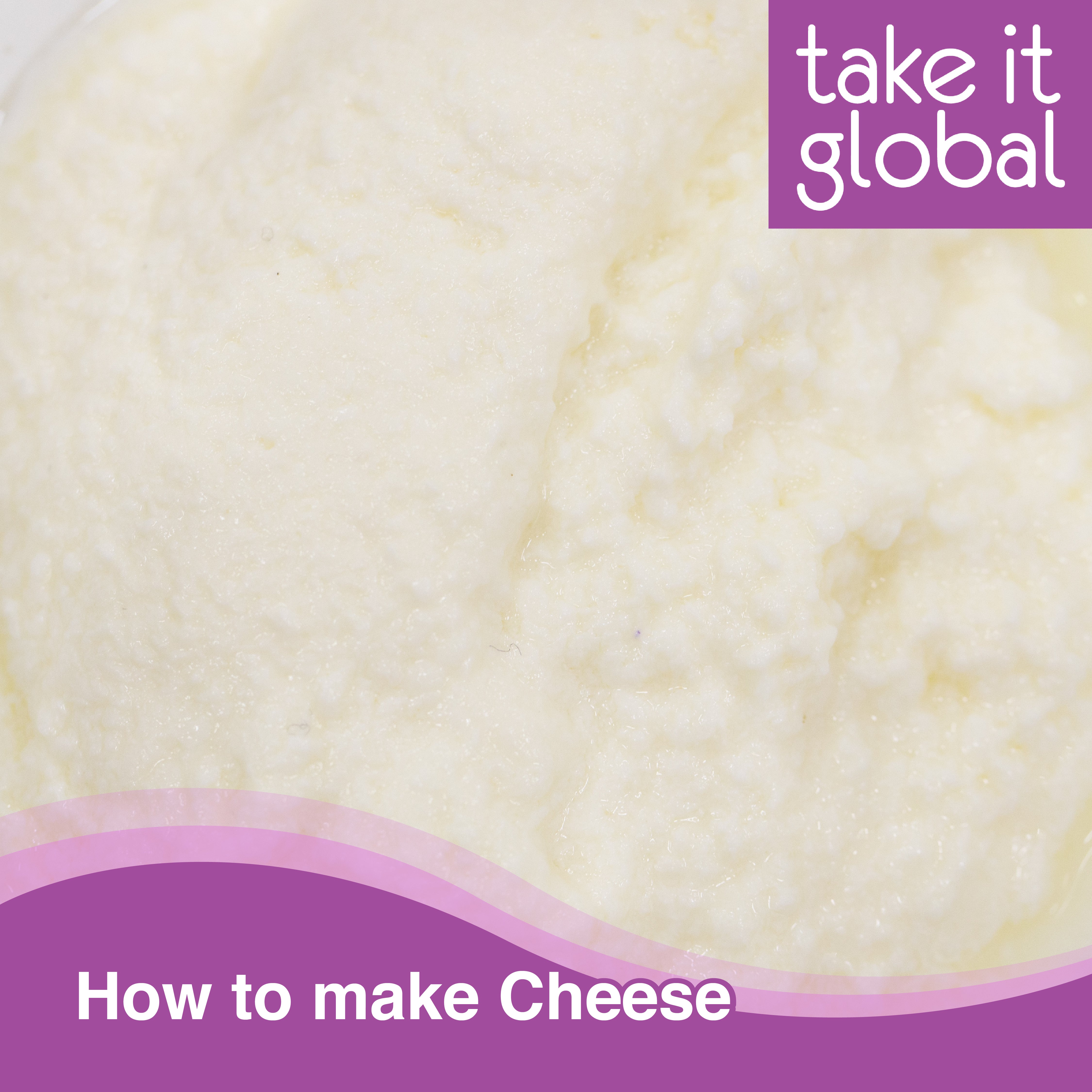 Cheese Culture 奶酪菌 - all types - Cream / Cottage / Paneer / Cheddar / Parmesan / Mozarella / Feta / Gouda / Edam