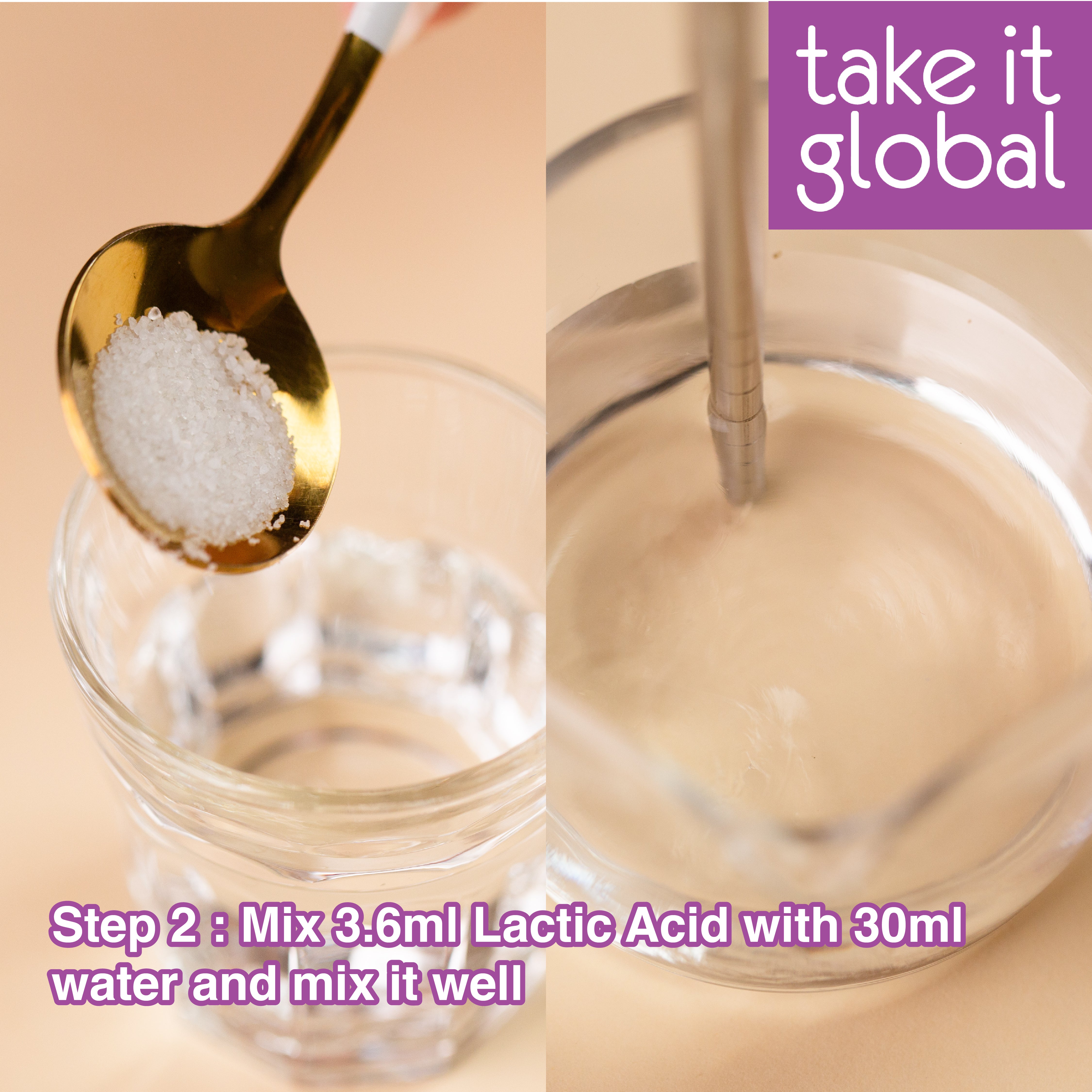 Cheese Culture 奶酪菌 - all types - Cream / Cottage / Paneer / Cheddar / Parmesan / Mozarella / Feta / Gouda / Edam