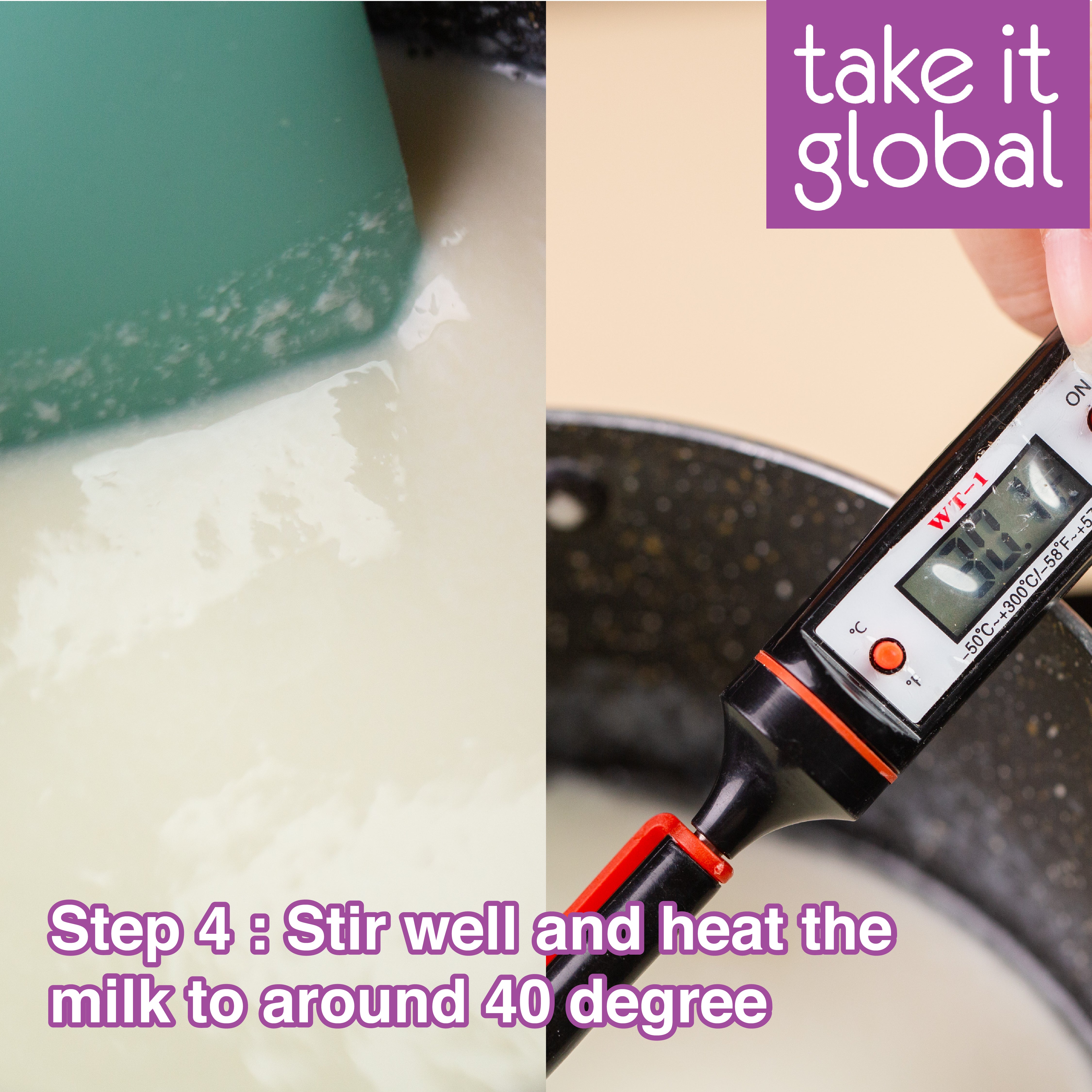 Cheese Culture 奶酪菌 - all types - Cream / Cottage / Paneer / Cheddar / Parmesan / Mozarella / Feta / Gouda / Edam