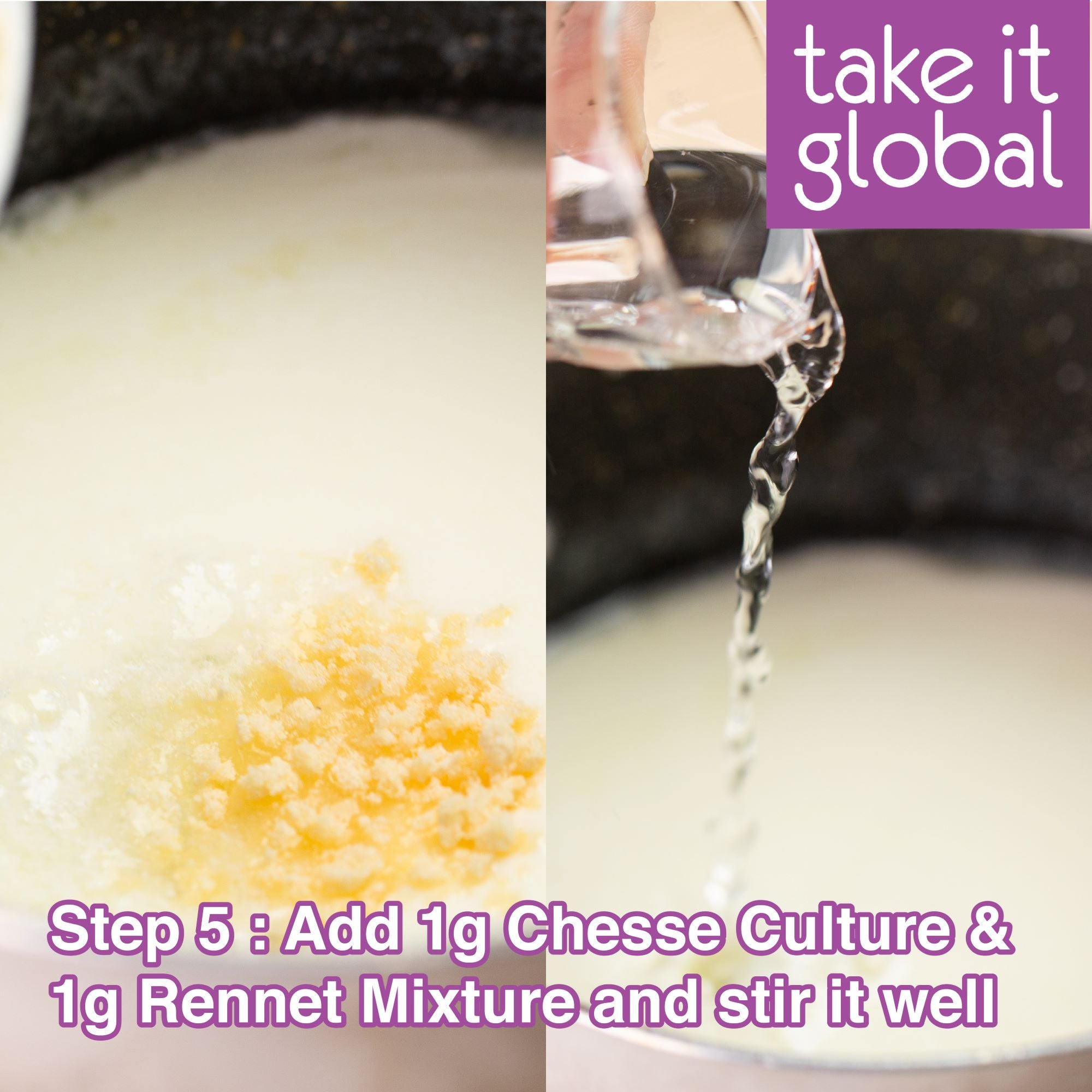 Rennet Powder for Cheese Making