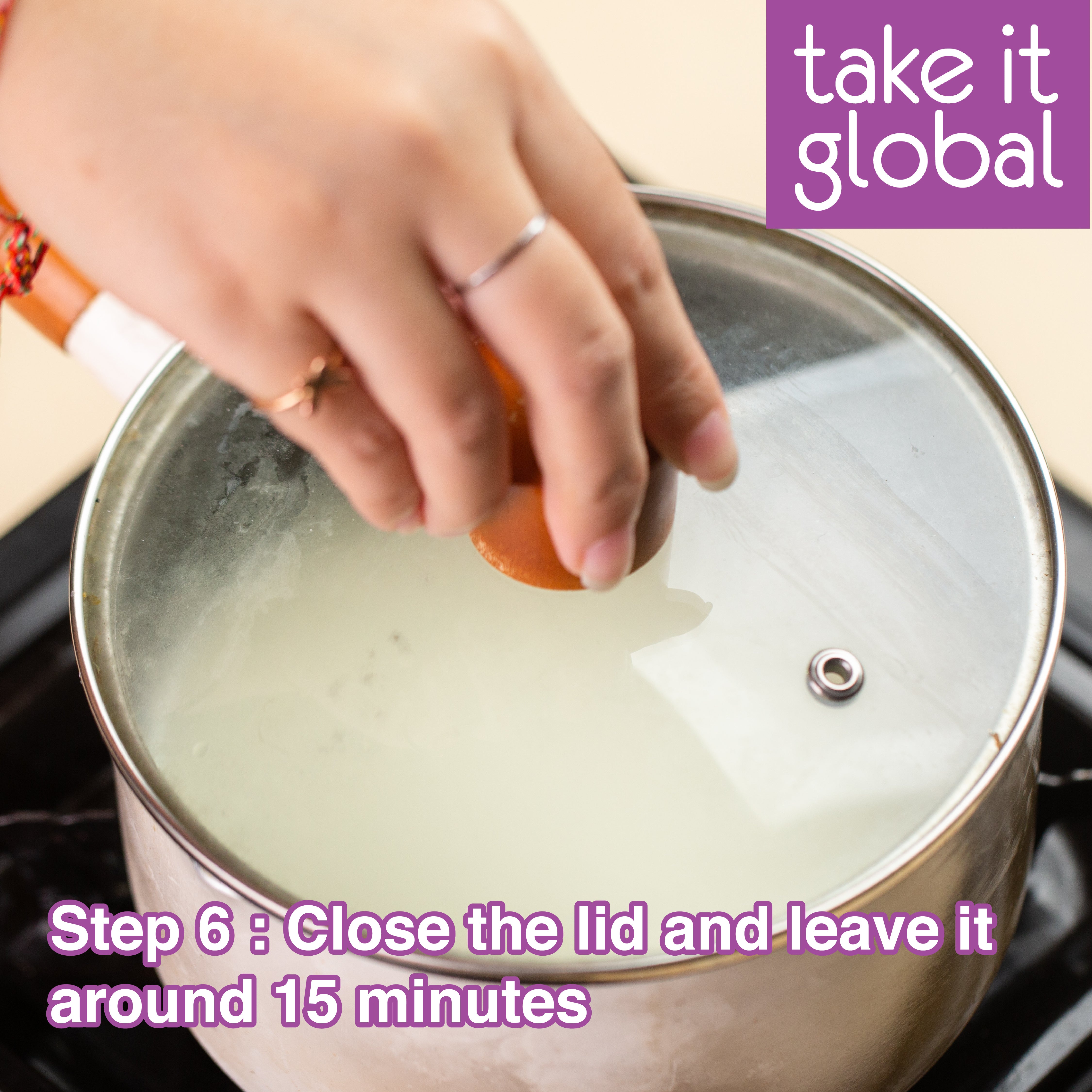 Cheese Culture 奶酪菌 - all types - Cream / Cottage / Paneer / Cheddar / Parmesan / Mozarella / Feta / Gouda / Edam