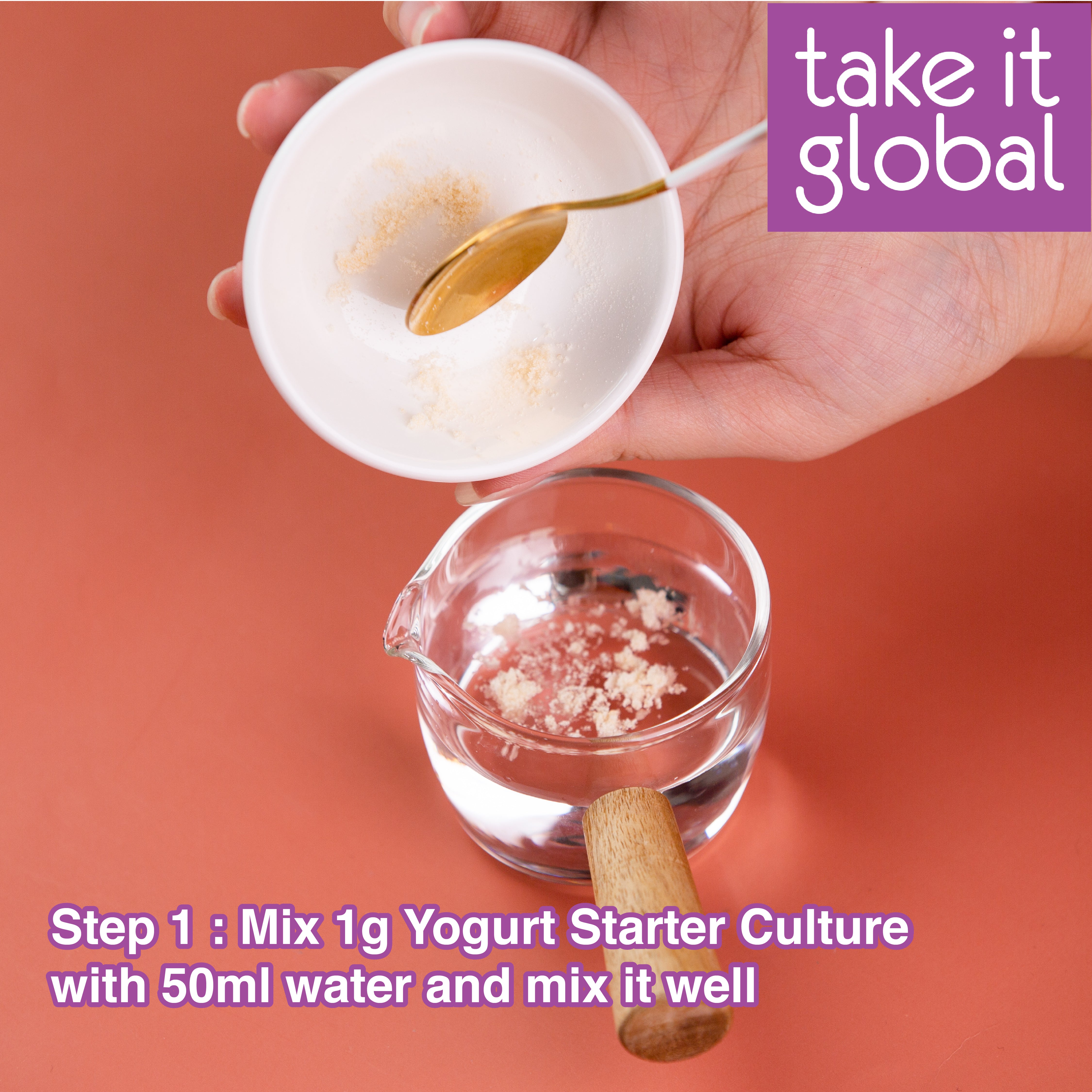 Yogurt Culture Yogurt Starter / Serbuk Kultur Yogurt /  酸奶菌