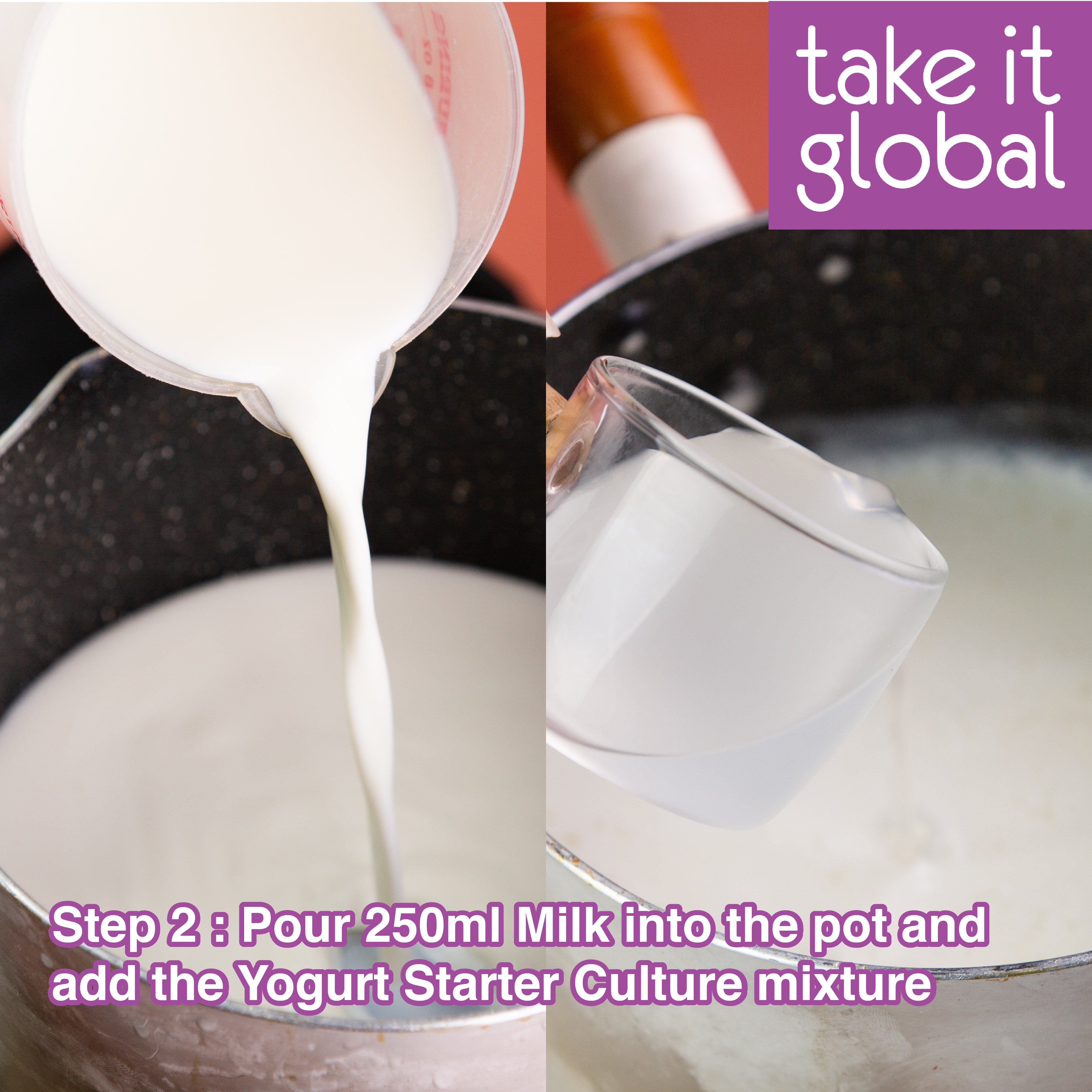 Yogurt Culture Yogurt Starter / Serbuk Kultur Yogurt /  酸奶菌