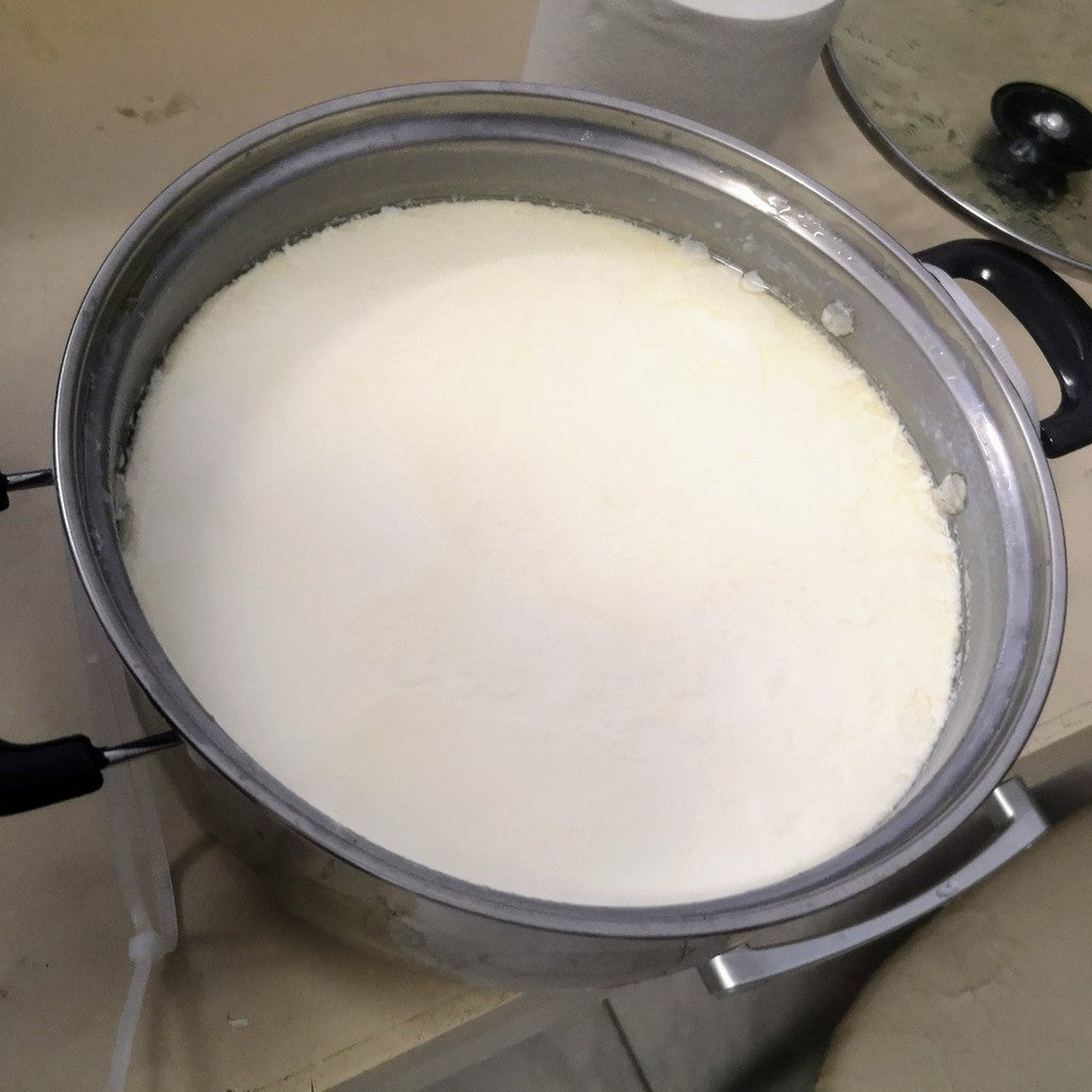 Yogurt Culture Yogurt Starter / Serbuk Kultur Yogurt /  酸奶菌