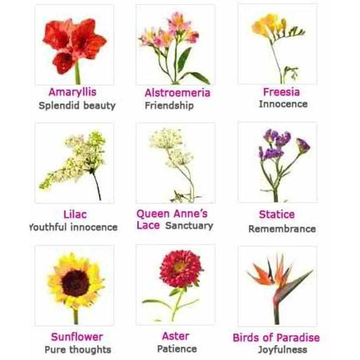 400g Set Baja AB Fertigasi Hidroponik Hydroponic Nutrient Fertilizer (200g each)