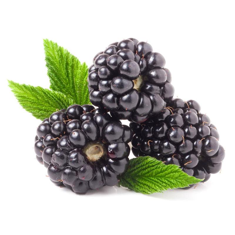 Blackberry Seed Oil - Chile