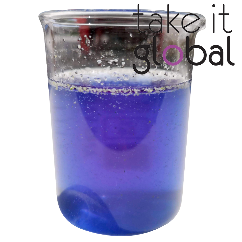 Blue Butterfly Pea Flower Powder / Serbuk Bunga Telang / 蓝花 / 蝶花粉 - food / bakery / pastries / coloring / kuih / drinks