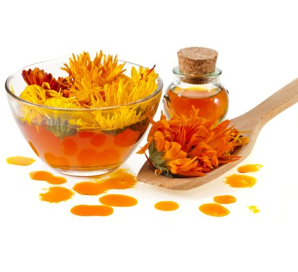 Calendula Essential Oil