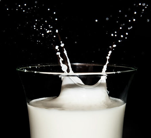 Fresh Milk Flavour - Ungerer Creamy Flavour For Beverages/Food