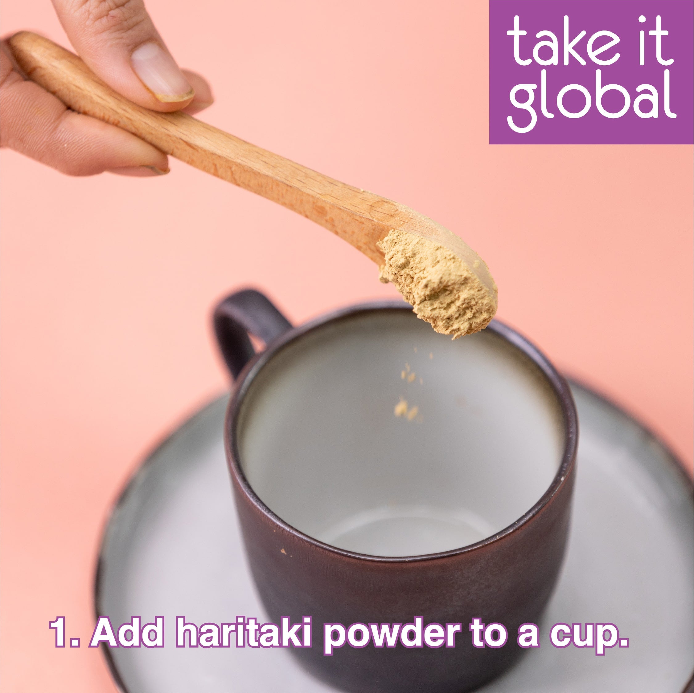 Haritaki Powder 诃子(He Zi)粉- Kadukkai Churanam / Ink Nut