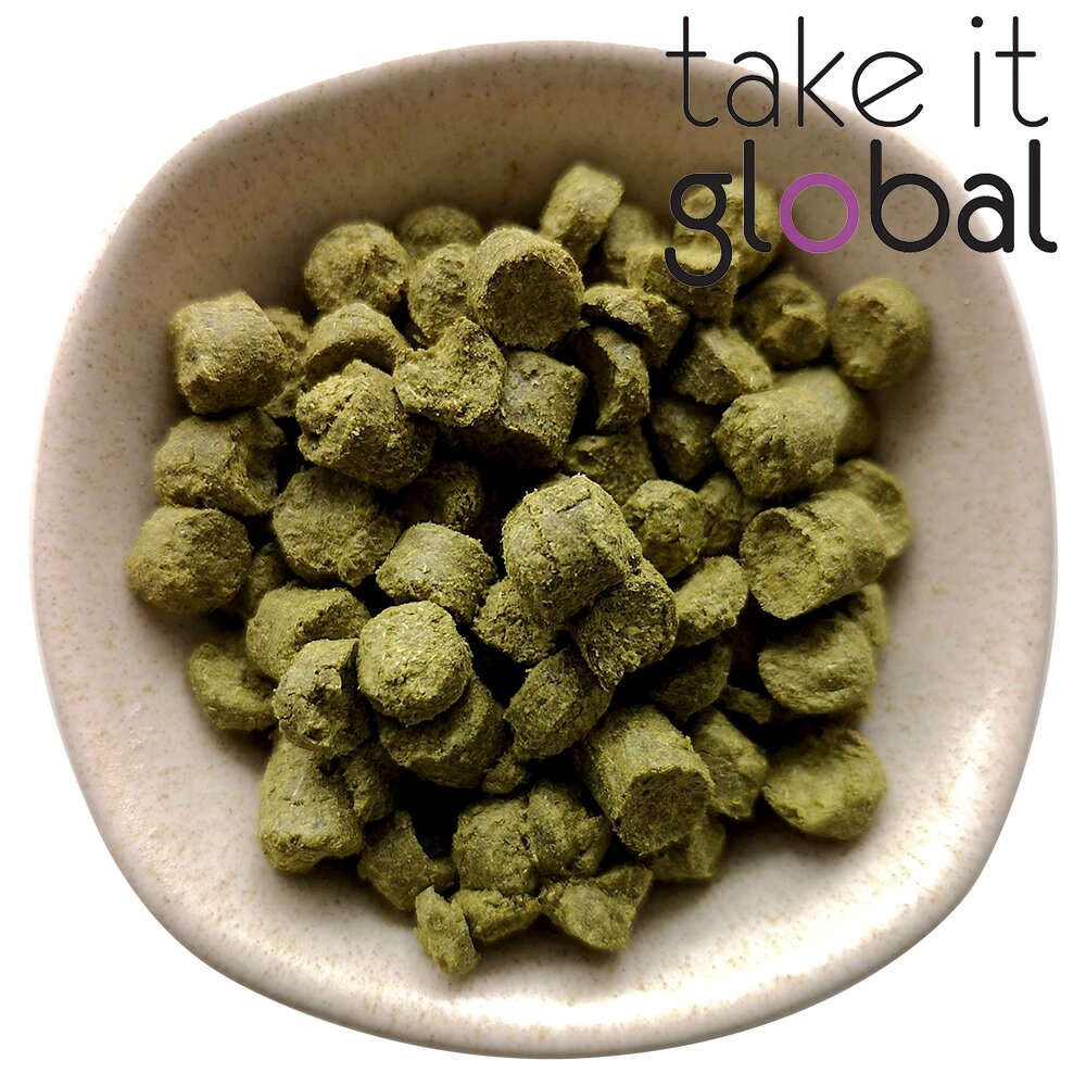 Citra Hop Pellets 啤酒花颗粒 - Beer Brewing