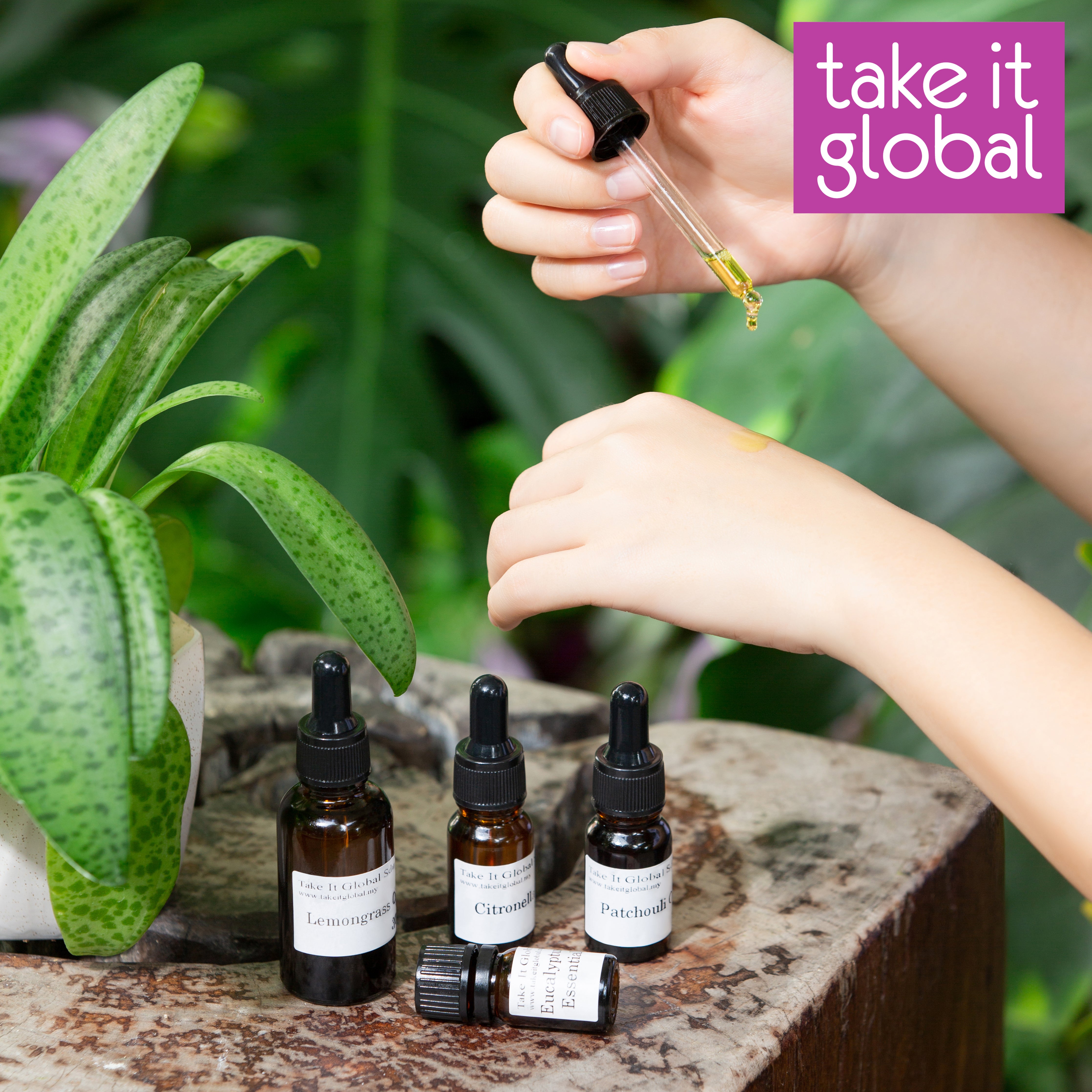 Eucalyptus Essential Oil (all types) - Australia
