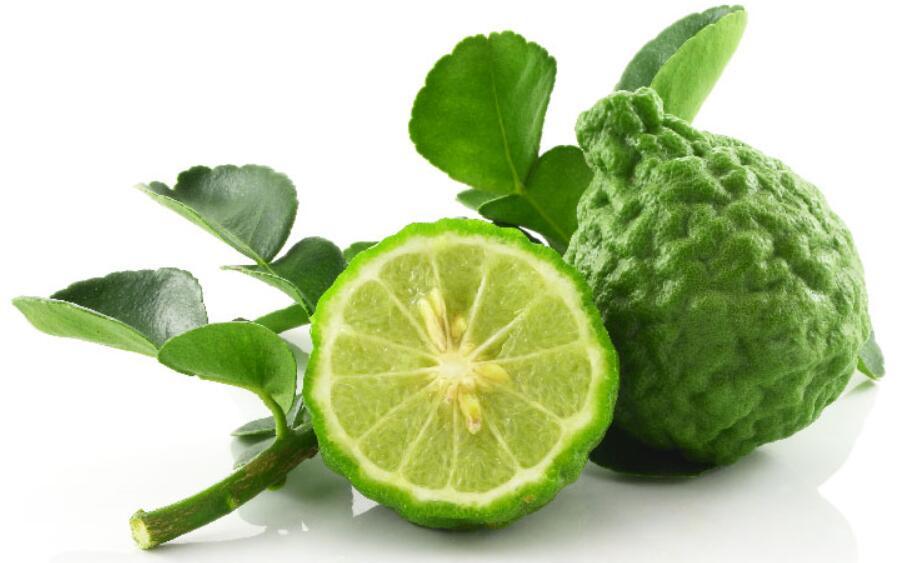 Kaffir Lime Oil 柠檬青柠油 - Indonesia