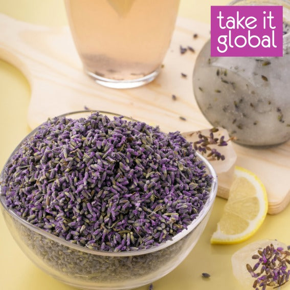 Lavender Bud 薰衣草花 - food grade