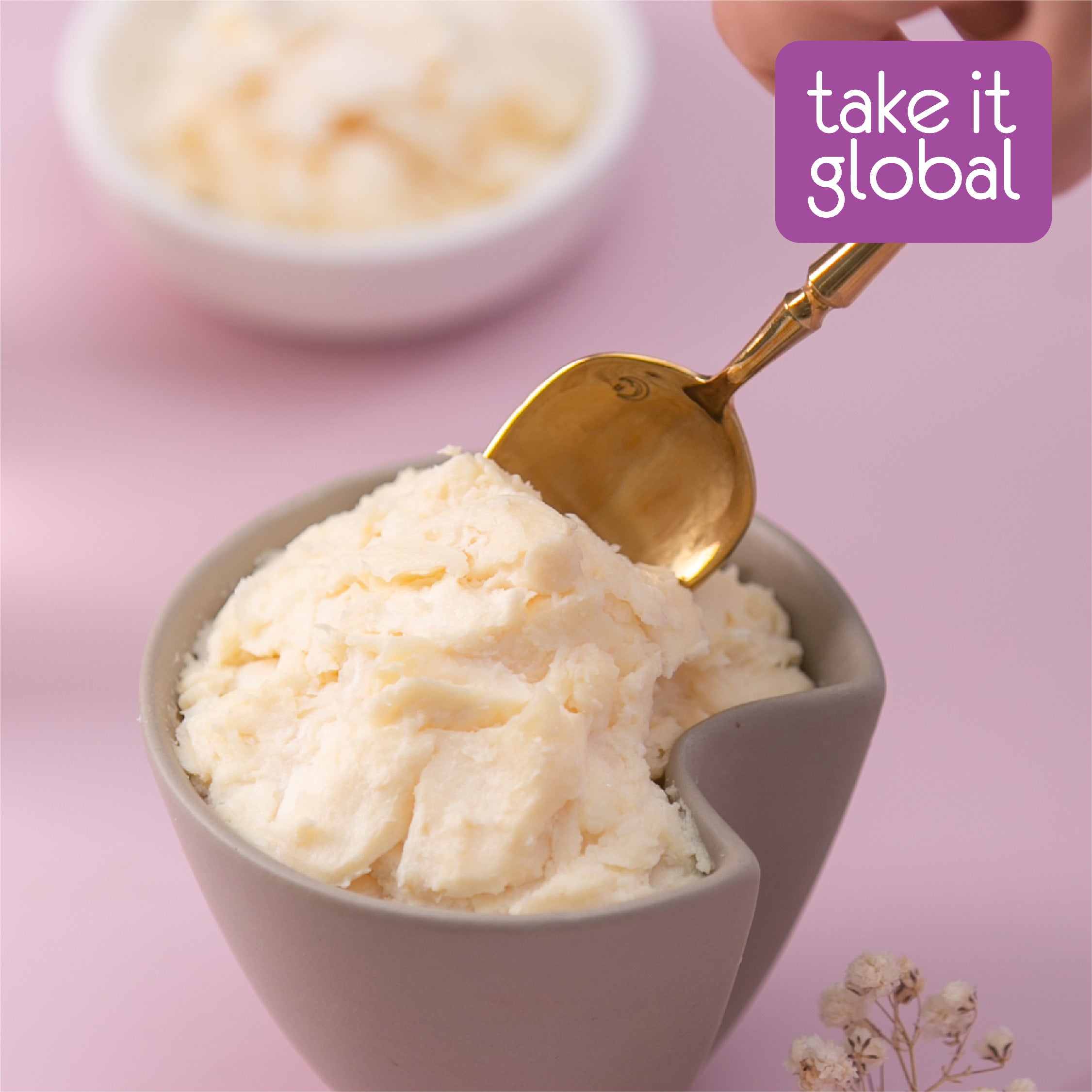 Whipped Soap - Hand Wash / Body - Face Soap