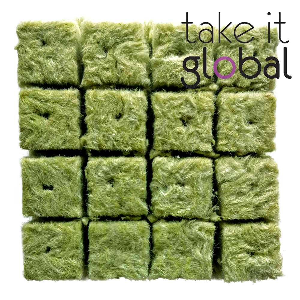 Rockwool Cube 3cm x 3cm x 4cm seedling semai benih hydroponic Rock Wool - 1pc