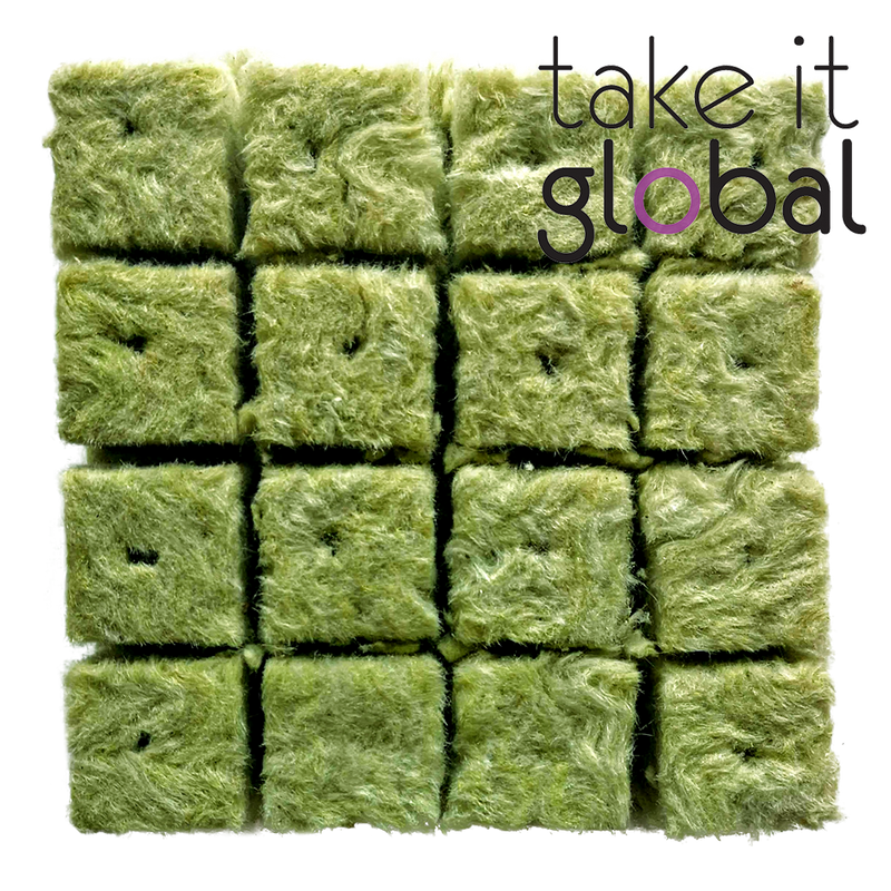 Rockwool Cube 3cm x 3cm x 4cm seedling semai benih hydroponic Rock Wool - 1pc
