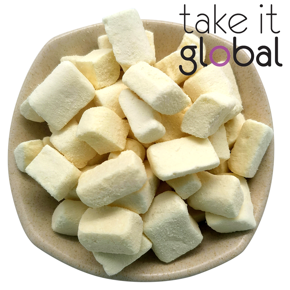 Tofu Cubes/Tauhu Kering Freeze Dry 冻干豆腐 - Dehyrated/Food Grade / Pet Food / Snack / Cooking / Drinks / Desert / Pastries