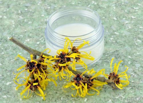 Witch Hazel Extract (Liquid Form) - for Cosmetics 金缕梅水