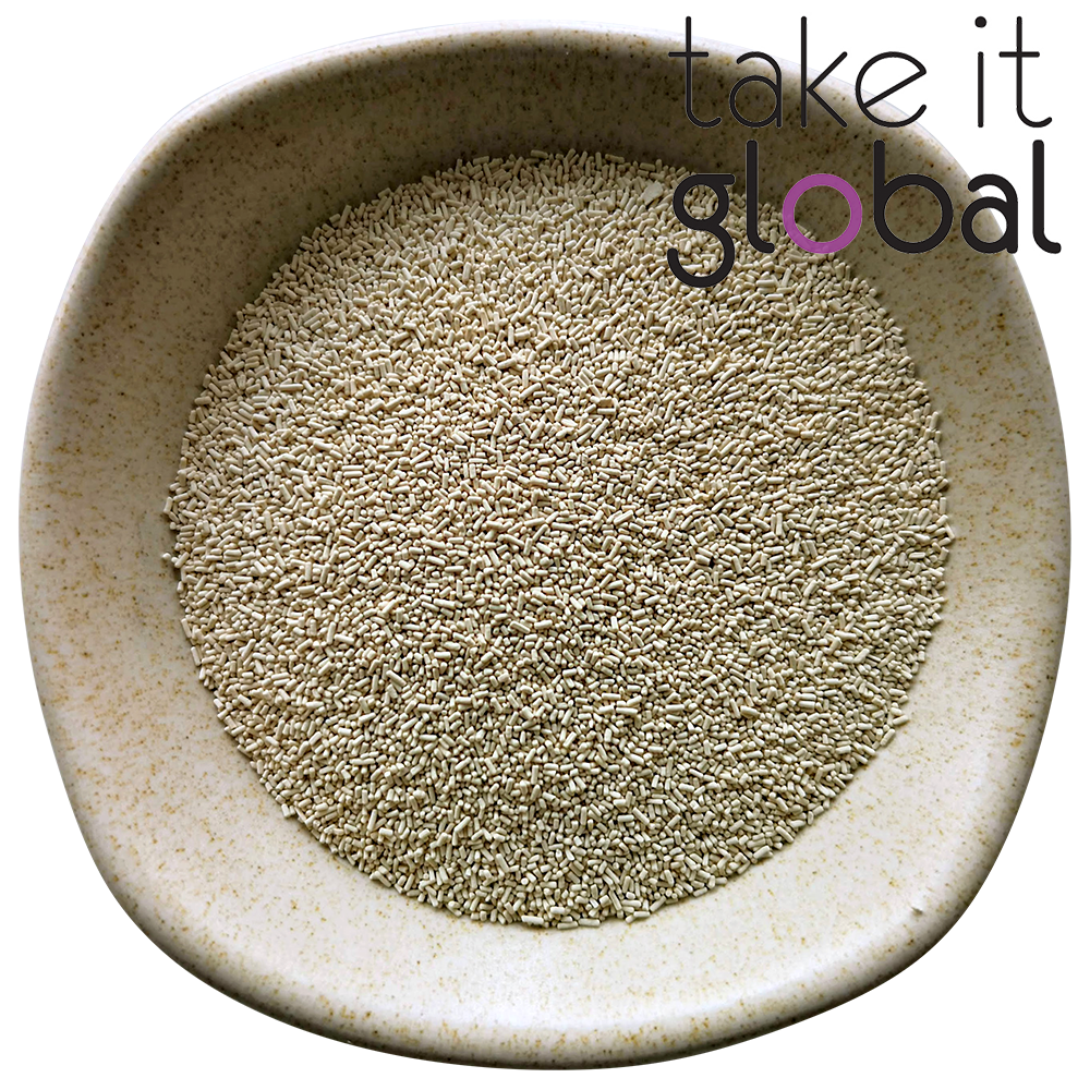 Beer Yeast / 啤酒酵母 - Fermentation (1g)