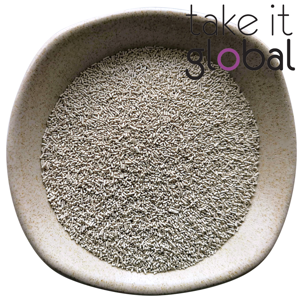 Beer Yeast / 啤酒酵母 - Fermentation (1g)