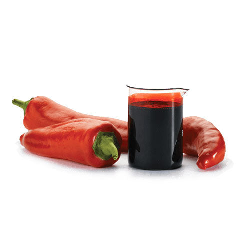 Capsicum / Chilli Essential Oil