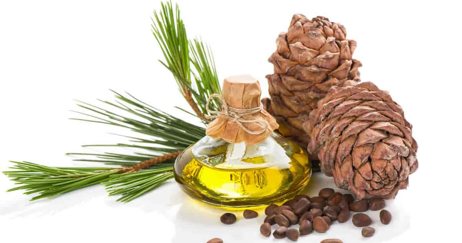 Cedar Wood / Cedarwood Essential Oil