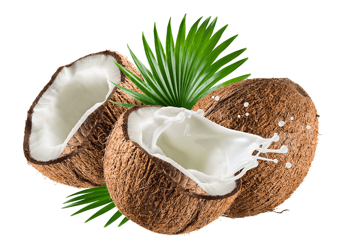 Coconut Flavour - For Beverages/Food