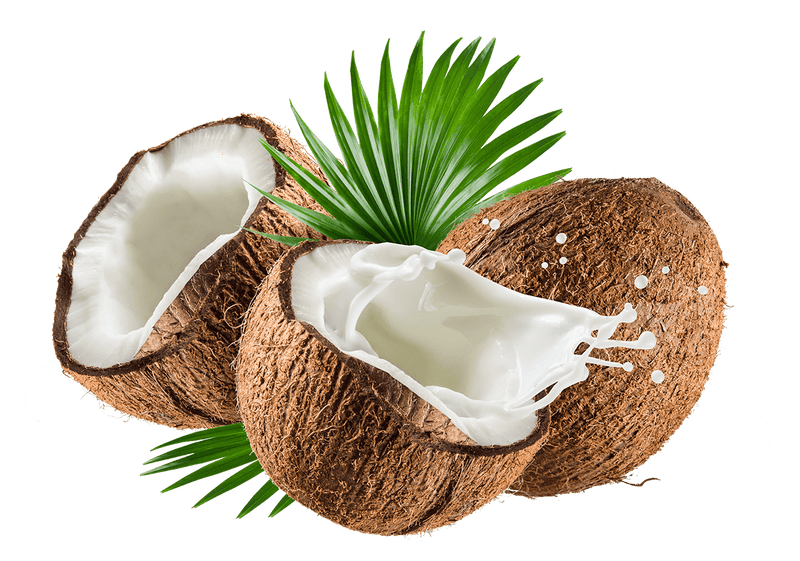 Coconut Flavour - For Beverages/Food