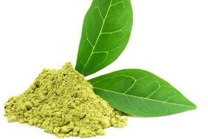 Green Tea Extract (Liquid Form) - For Cosmetics