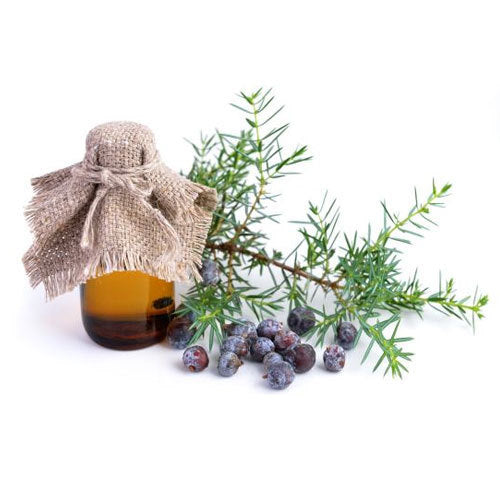 Juniper Berry / Juniperberry Essential Oil