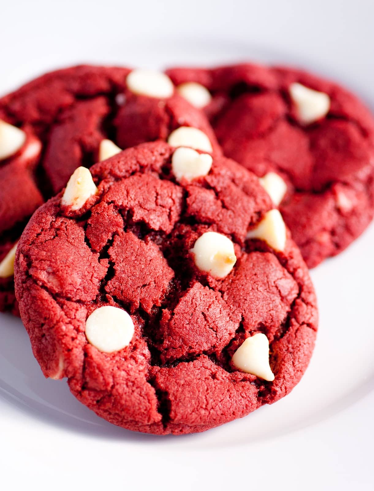 Red Yeast Rice Powder 红曲米粉