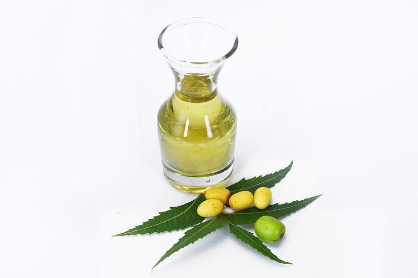 Minyak Neem Oil - Cosmetics Grade