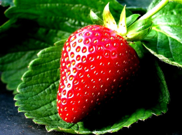 Strawberry Fragrance - for Cosmetics / Perfume / Toiletries